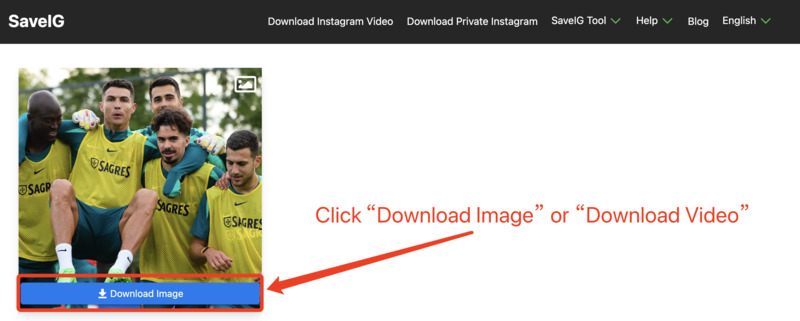 Downloading Instagram Image or Video via SaveIG: SaveIG page showing the option to click 