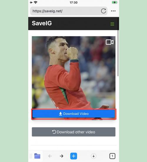 Downloading Video with SaveIG: Previewing an Instagram video on SaveIG within 