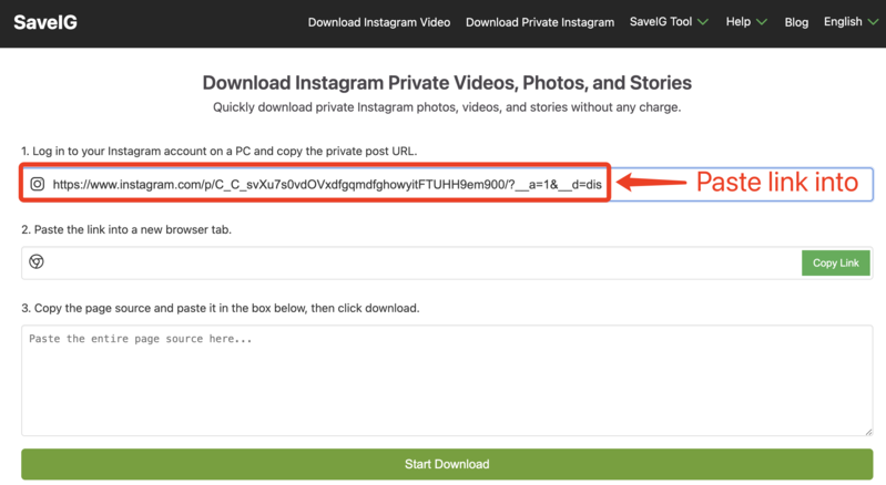 Pasting Instagram URL into SaveIG Private Downloader: SaveIG website showing the input field where a private Instagram post URL is pasted to download content.