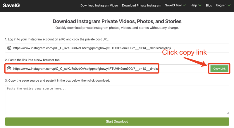 Copying Link for SaveIG Private Download: SaveIG's Instagram Private Downloader page showing the 