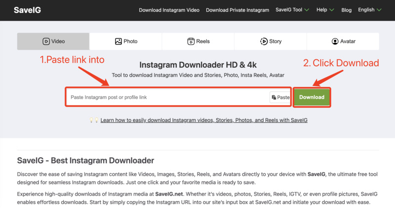 Pegando Enlace de Instagram en el Descargador de SaveIG: Sitio web de SaveIG mostrando dónde pegar el enlace copiado de Instagram para descargar videos o imágenes.