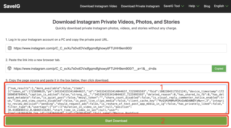 วางซอร์สโค้ดลงใน SaveIG และดาวน์โหลด: อินเทอร์เฟซของ SaveIG Private Downloader ที่มีการวางซอร์สโค้ดพร้อมกับปุ่ม 